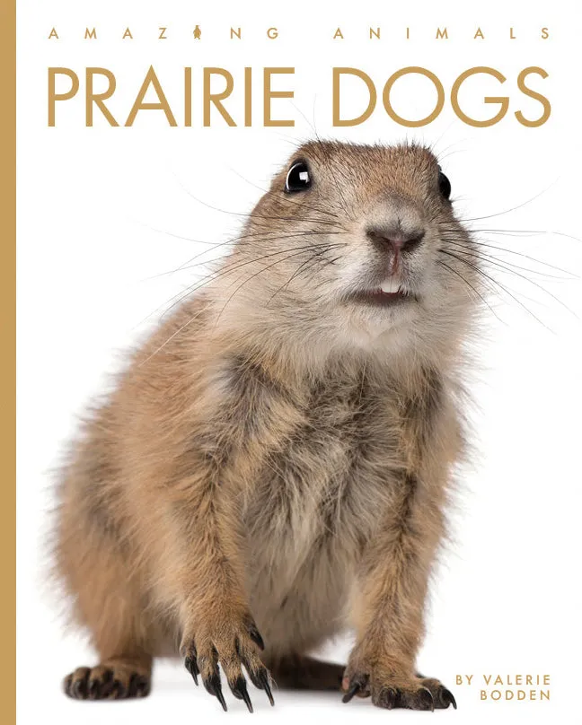 Amazing Animals (2022): Prairie Dogs by The Creative Company Shop