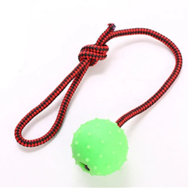 Chew Training Ball Toys Tooth Cleaning Puppy