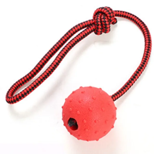 Chew Training Ball Toys Tooth Cleaning Puppy