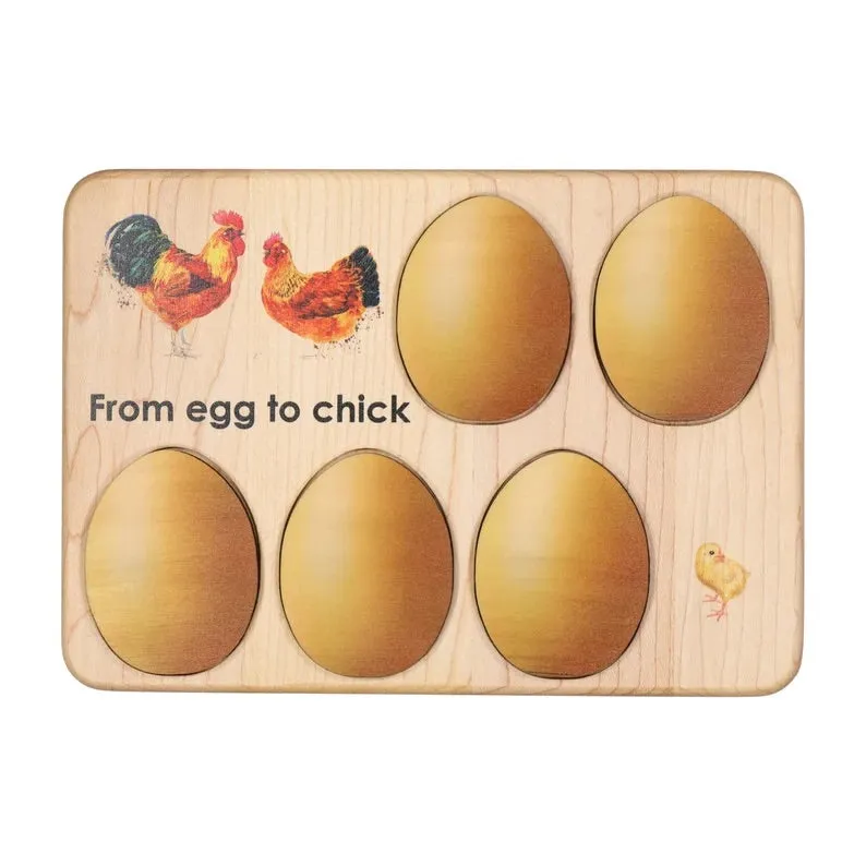 Chicken development wooden puzzle