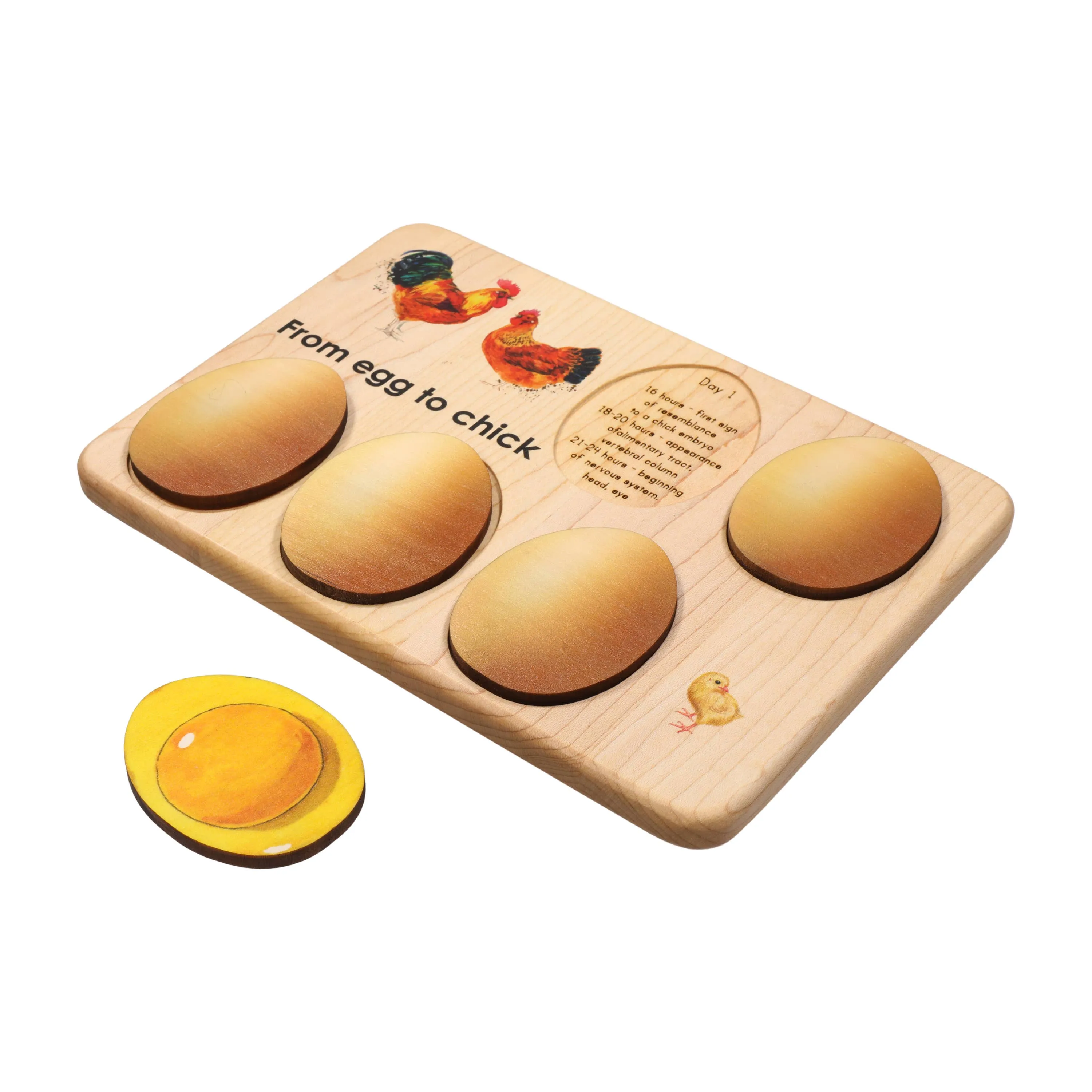 Chicken development wooden puzzle