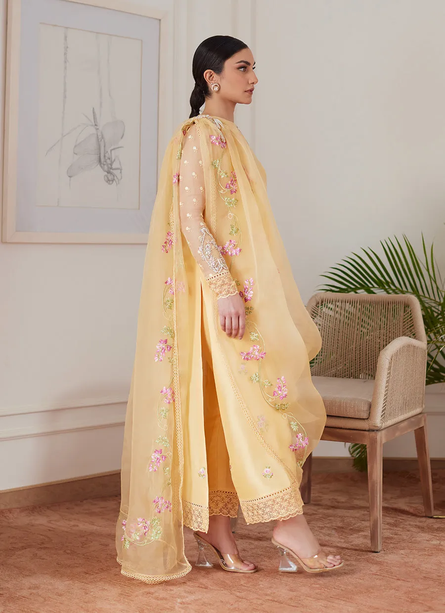 Cyrilla Pale Yellow Embroidered Raw Silk Shirt With Draped Dupatta