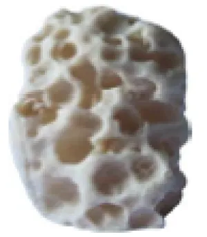 DECOR CORAL ROCK