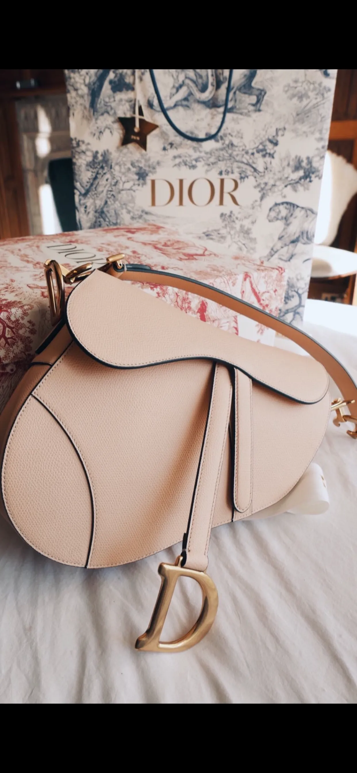 DIOR saddle bag with box