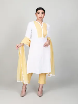 Elegantly Pleated Kurta Set