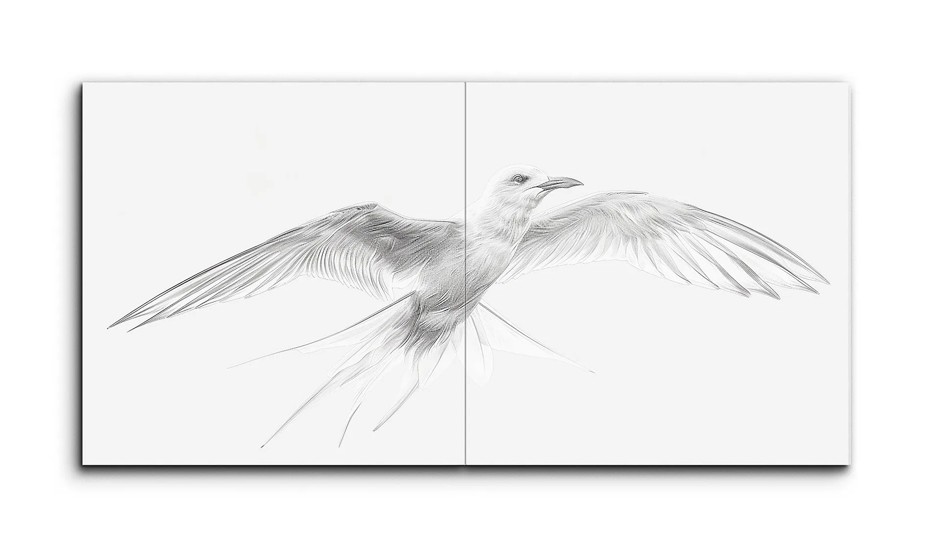 Graceful Flight: Intricate Bird Sketch