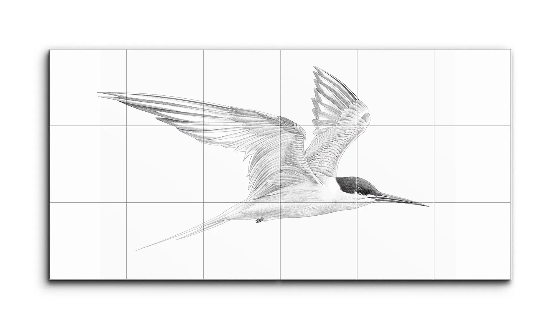 Graceful Flight: Monochrome Seabird Diptych