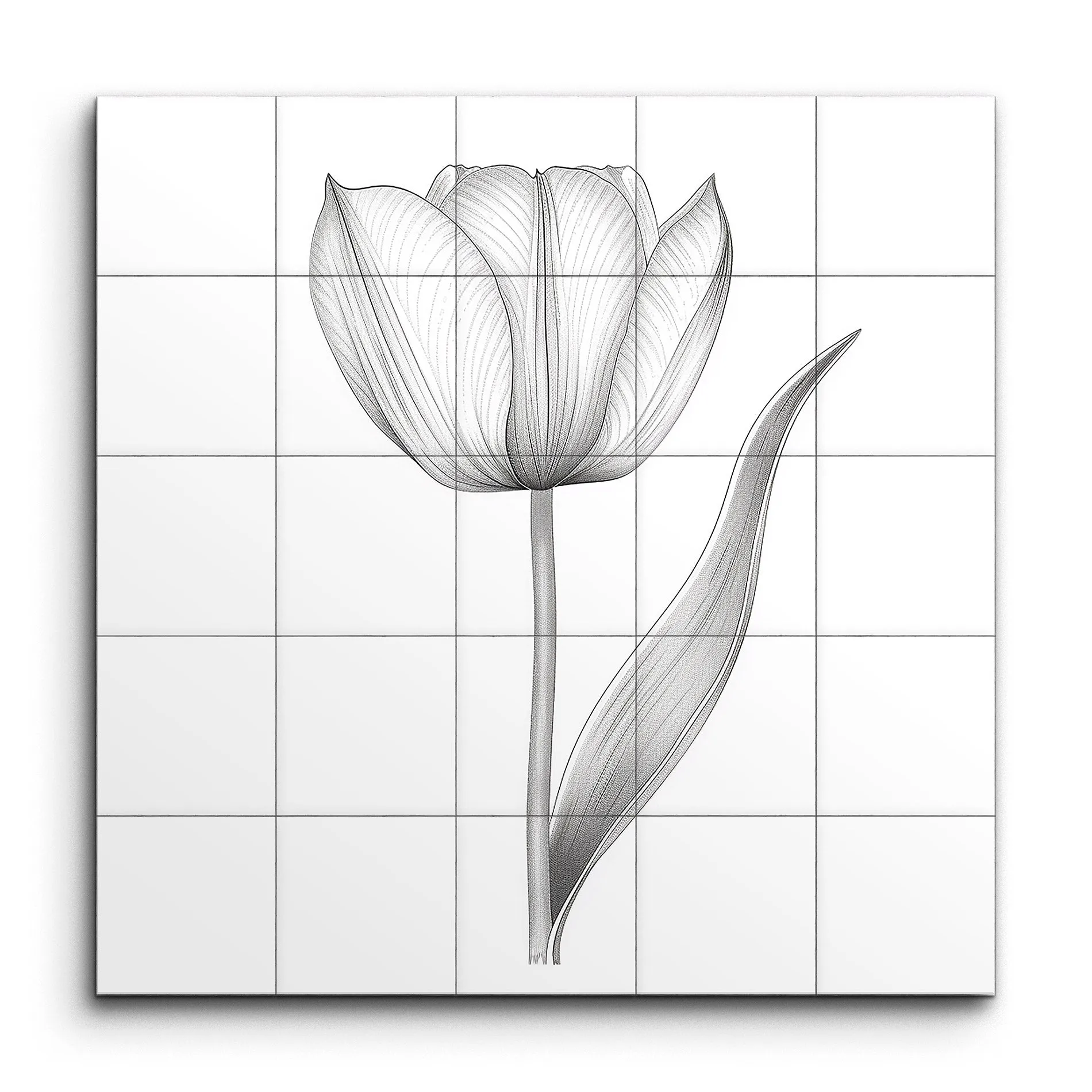 Graceful Tulip: Detailed Botanical Art