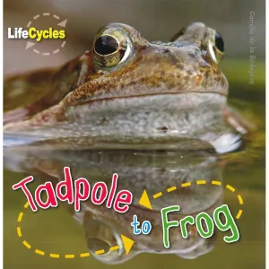 Life Cycles - Tadpole to Frog