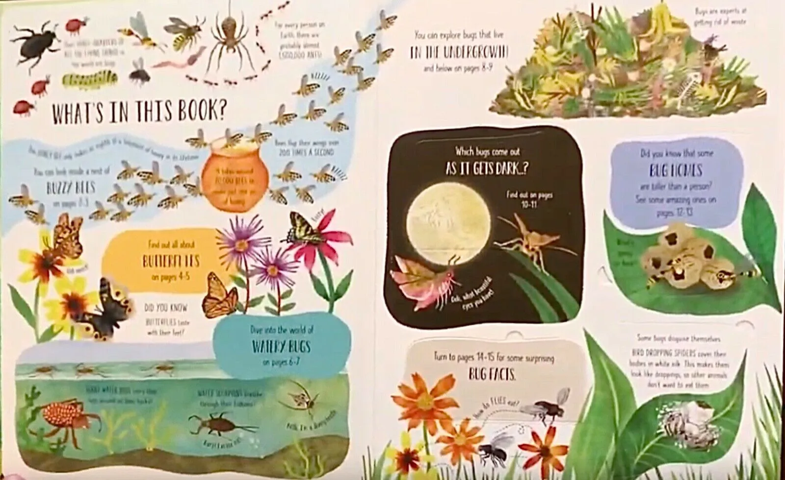 "Bugs and Butterflies" Lift-the-Flap Book