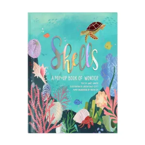 Shells: Summer Pop-Up Book