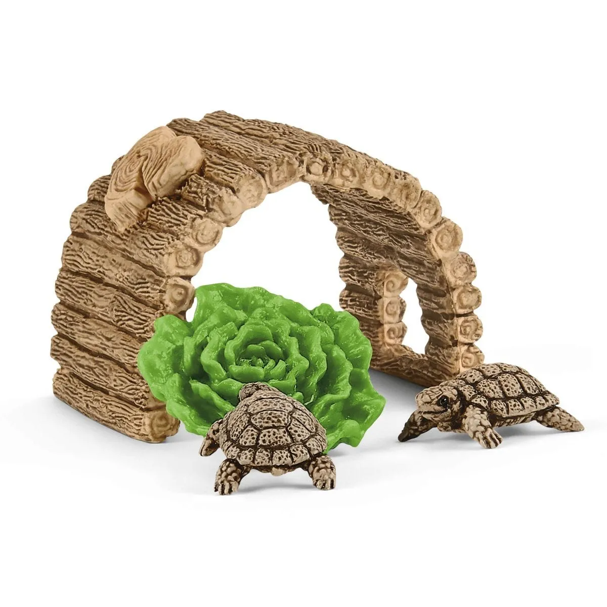 Tortoise home